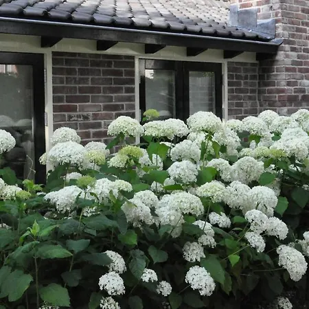 Bed & Breakfast De Oude Walnoot 3*